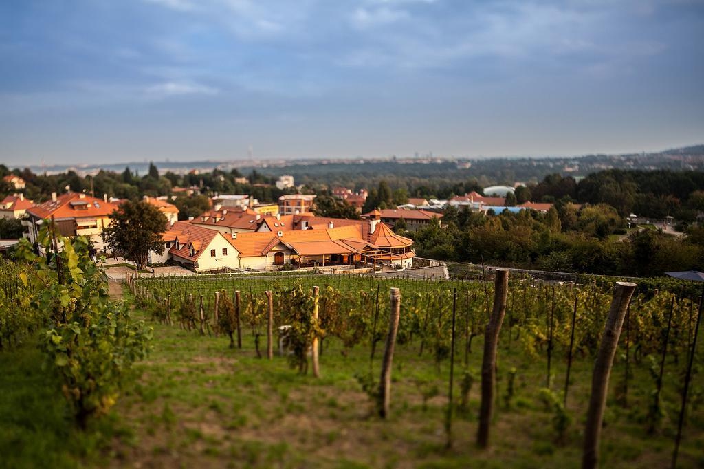 Vinice Salabka דירה פראג