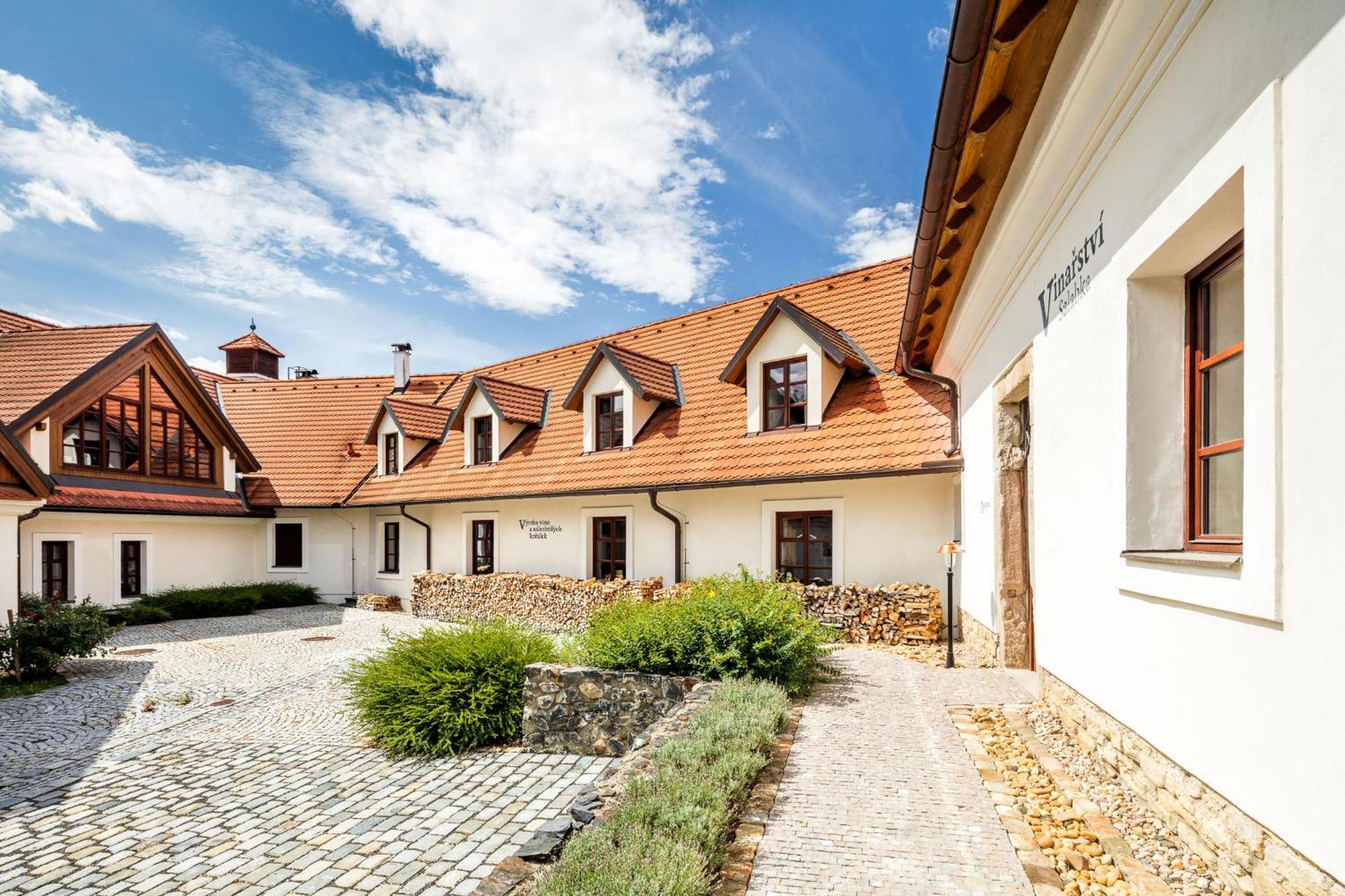 Apartamento Vinice Salabka *